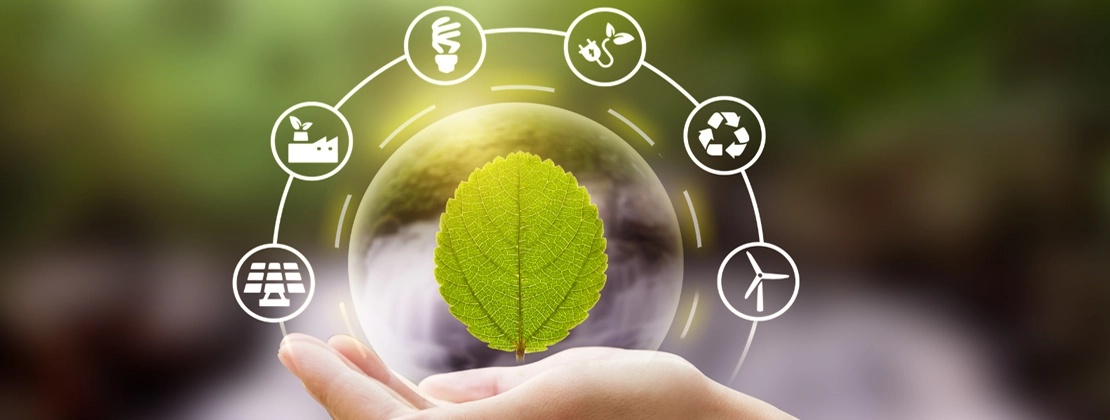 Waste minimization and recycling initiatives